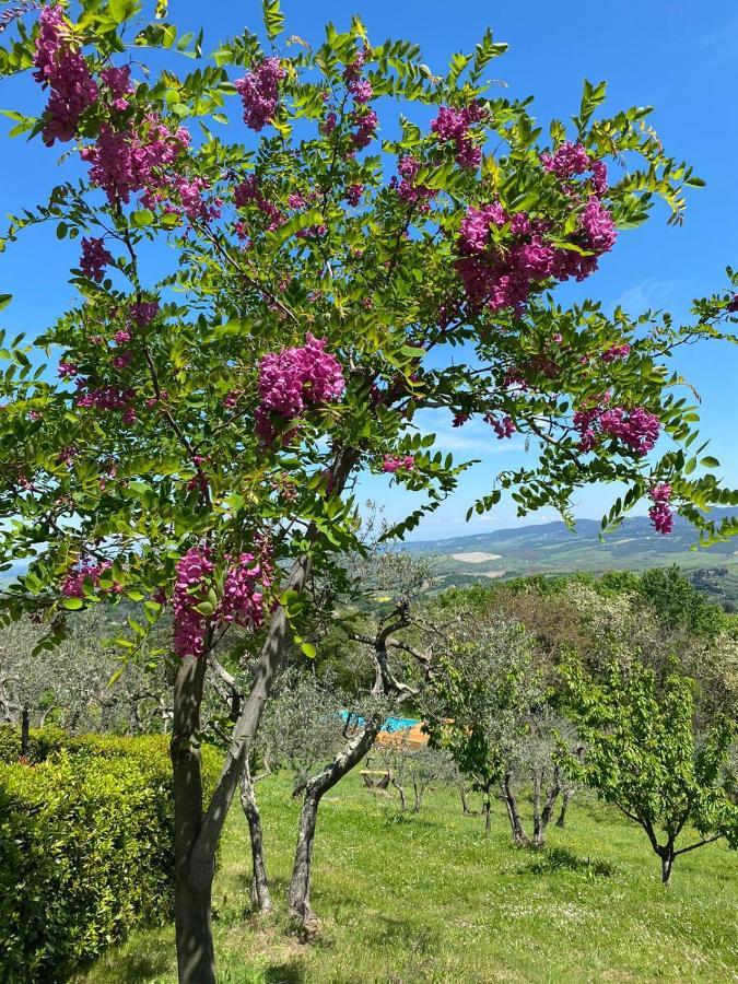 Casa Di Coraggio Villa โวลแตร์รา ภายนอก รูปภาพ