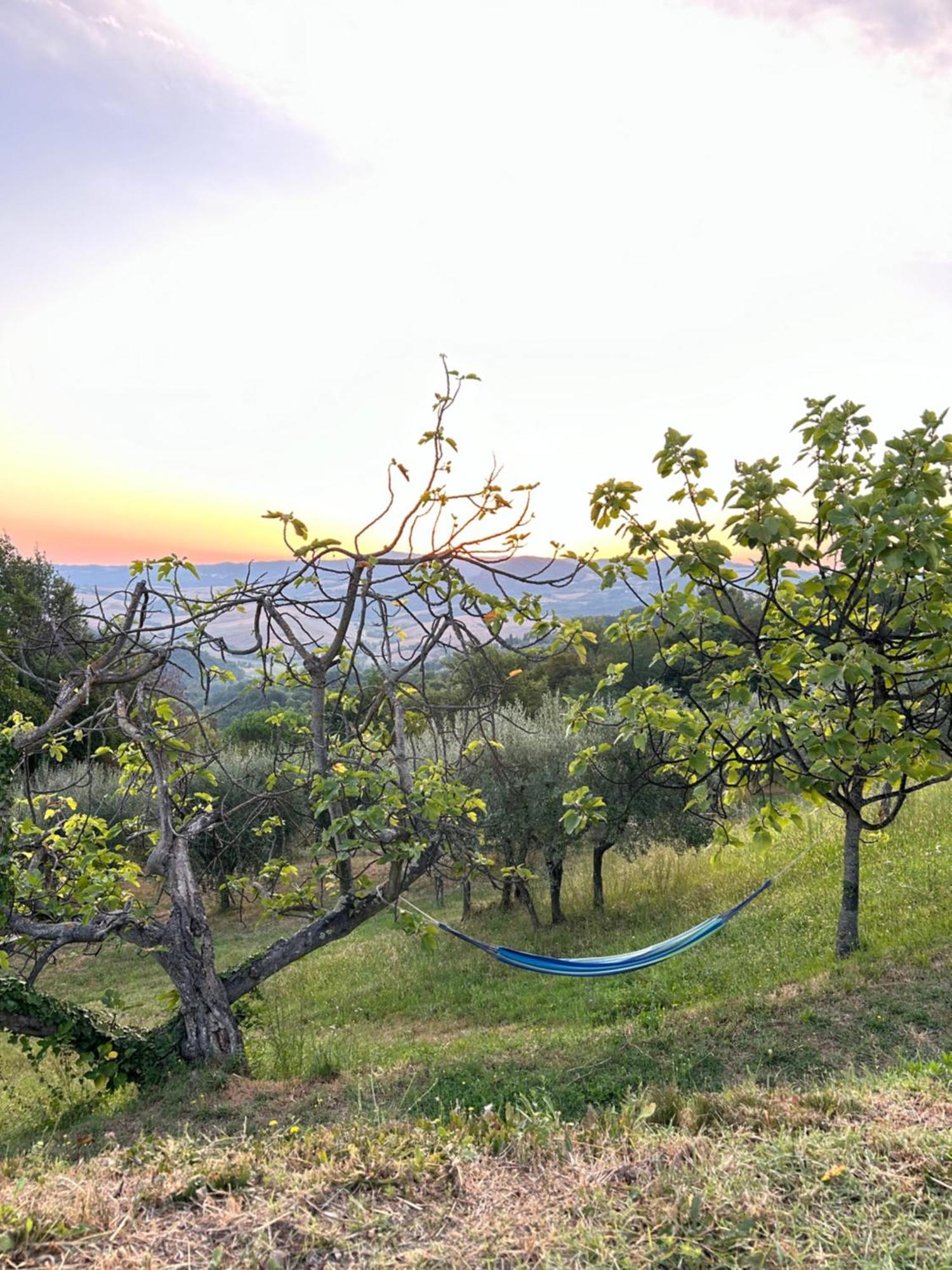Casa Di Coraggio Villa โวลแตร์รา ภายนอก รูปภาพ